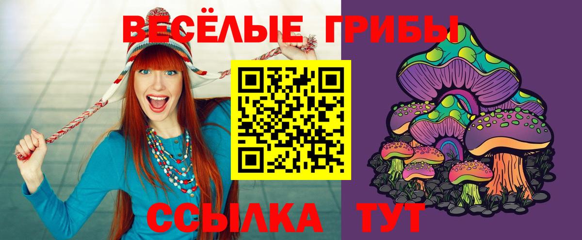 Псилоцибиновые грибы ЛСД  Вход с VPN  Галлюциногенные грибы MAGIC MUSHROOMS  Ефремов 